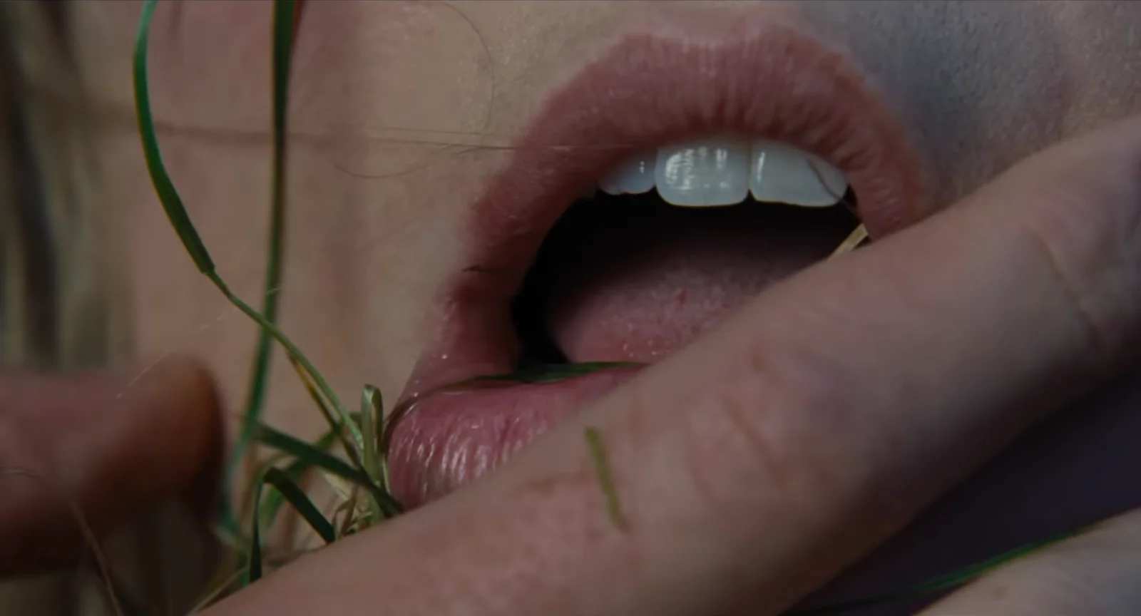 Moors Misread: Emerald Fennell's Wuthering Heights Draws Fire