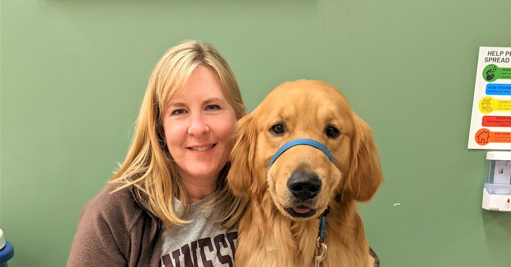 Featured image for Minnesota Rep. Melissa Hortman and Family Lie in State Amid Court Proceedings