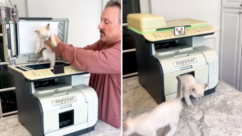 Featured image for "The Incredible Kitten Replicator: A Magic Copy Machine"