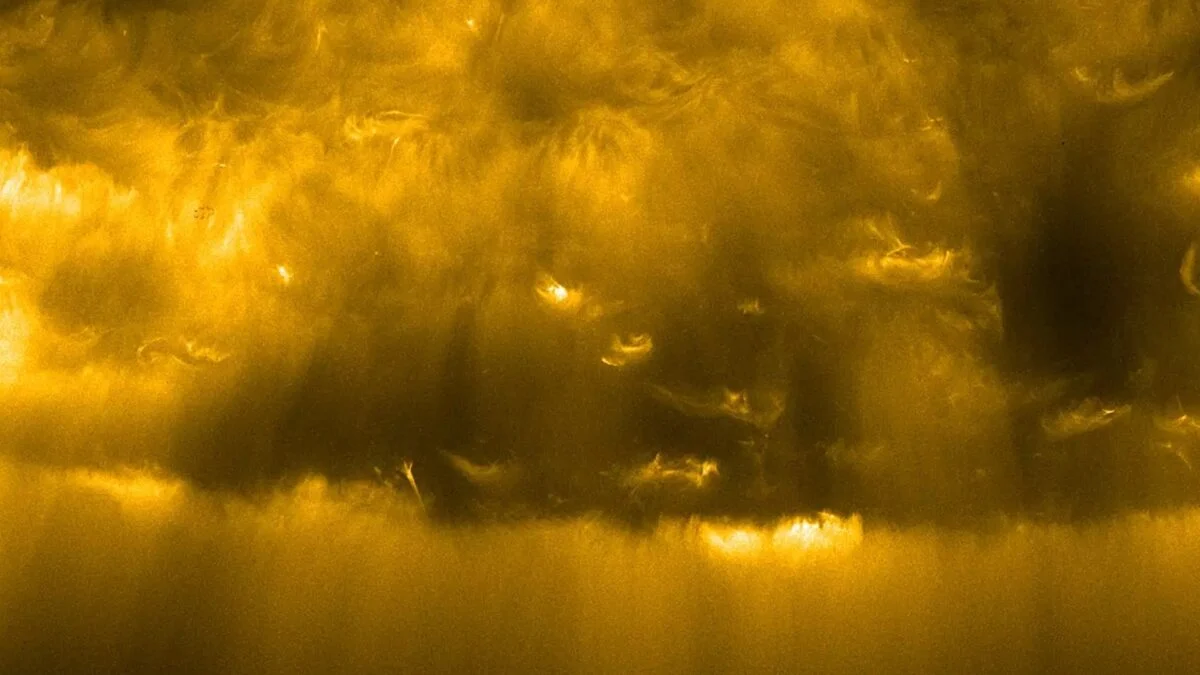 Featured image for Solar Orbiter Reveals First Clear Images of the Sun’s South Pole