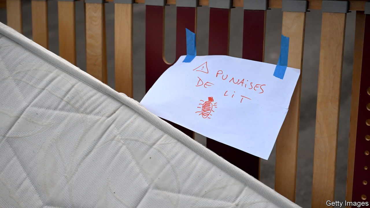 Featured image for "Bedbug Panic Sweeps France: Schools Closed, Racism Accusations, and International Panic"