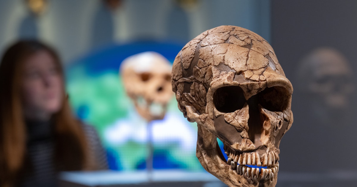 Featured image for "Revealing the Long Coexistence of Neanderthals and Humans in Europe"