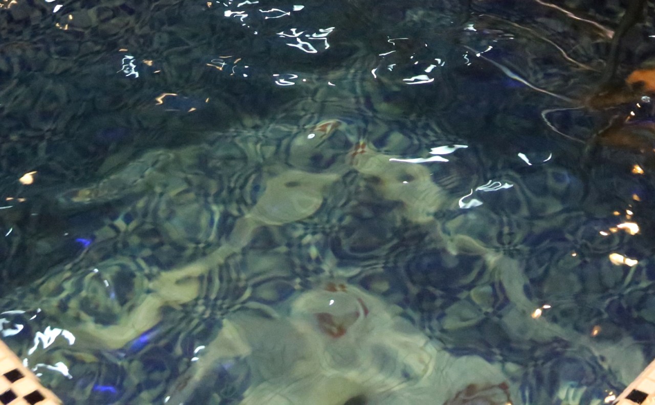 Featured image for "Fatal Legionnaires' Outbreak Traced to Richmond Spa"