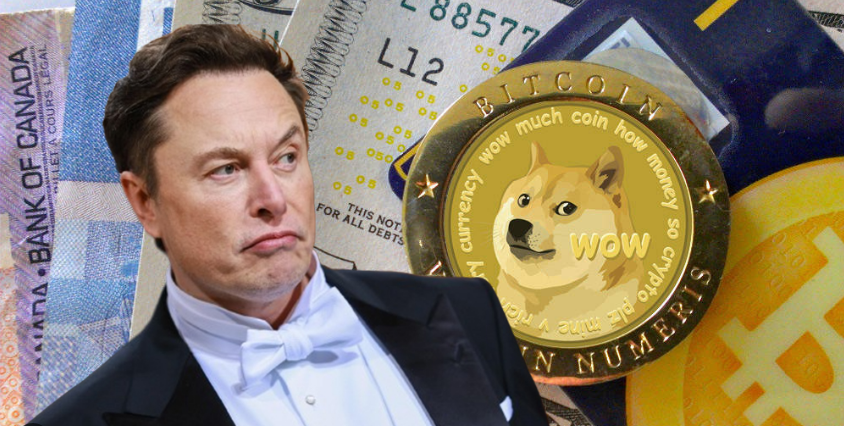 Elon Musk Cautions Against Over-Investing in Dogecoin