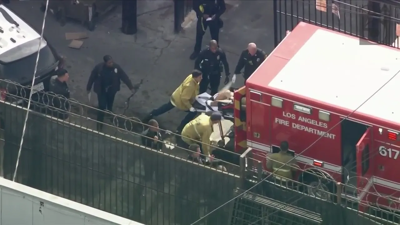 Police Shoot Suspected Car Thief in Downtown LA Chase