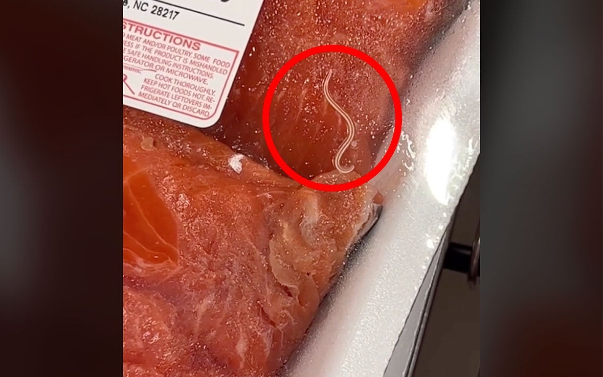 Featured image for "Wormy Fish Controversy: Debunking the Outrage Surrounding Costco Salmon"