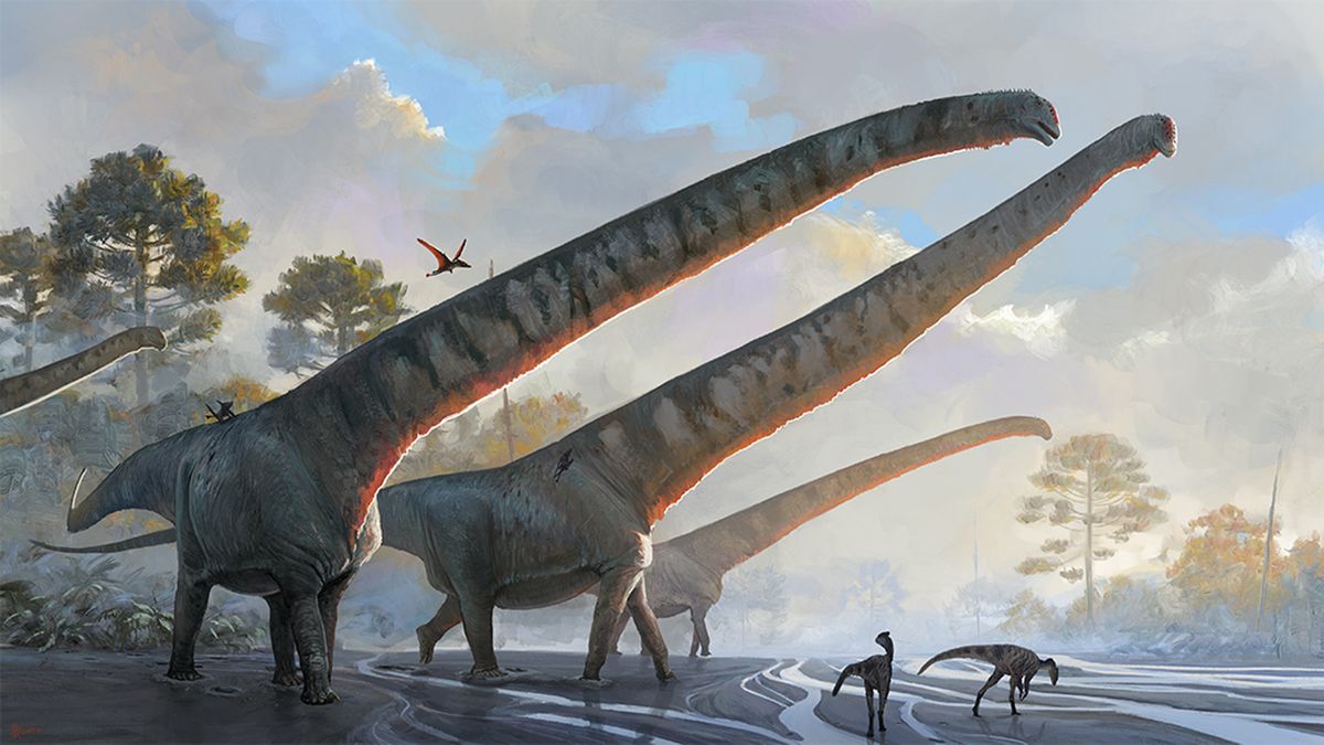 Featured image for Record-breaking dinosaur had neck longer than a school bus and weighed 70 tonnes.