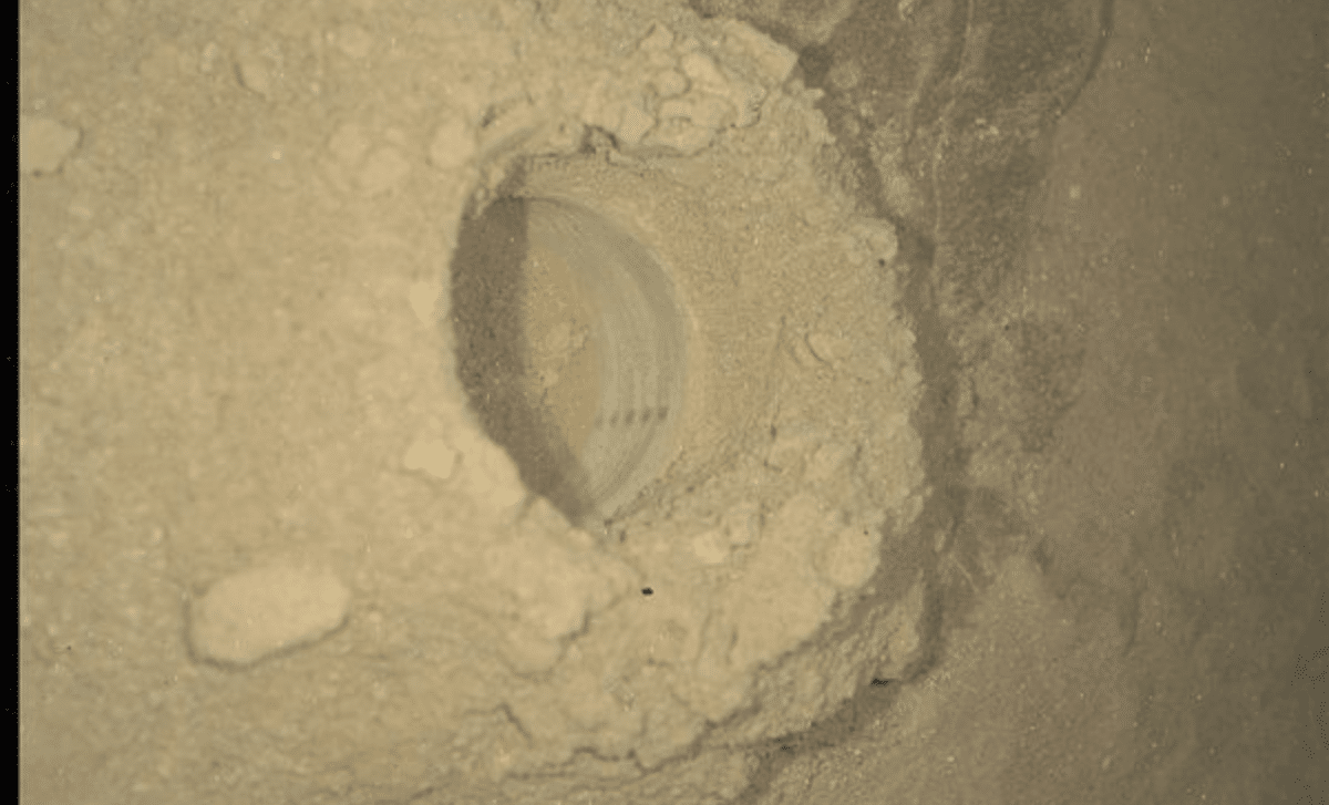 Featured image for Curiosity Rover's Latest Mars Discovery and Activities