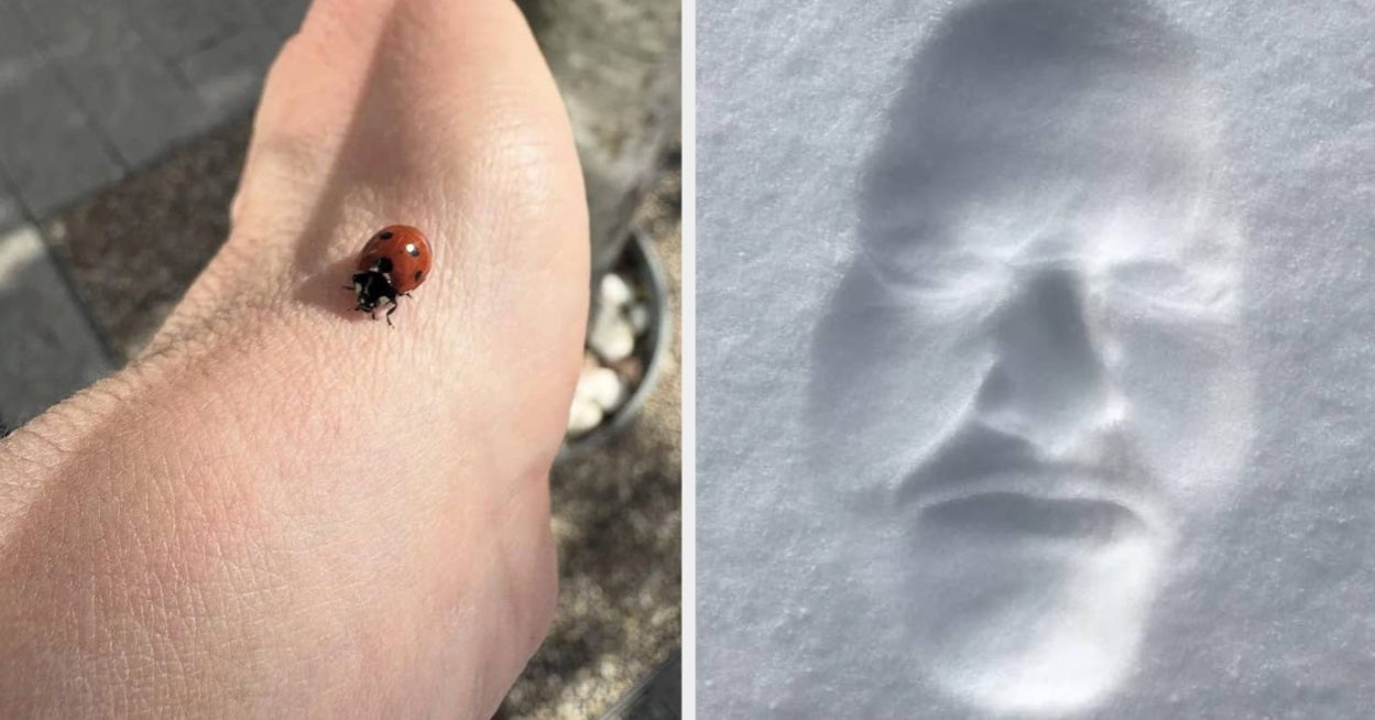 Featured image for 97 Photos That Will Challenge Your Perception of Reality Until 2026