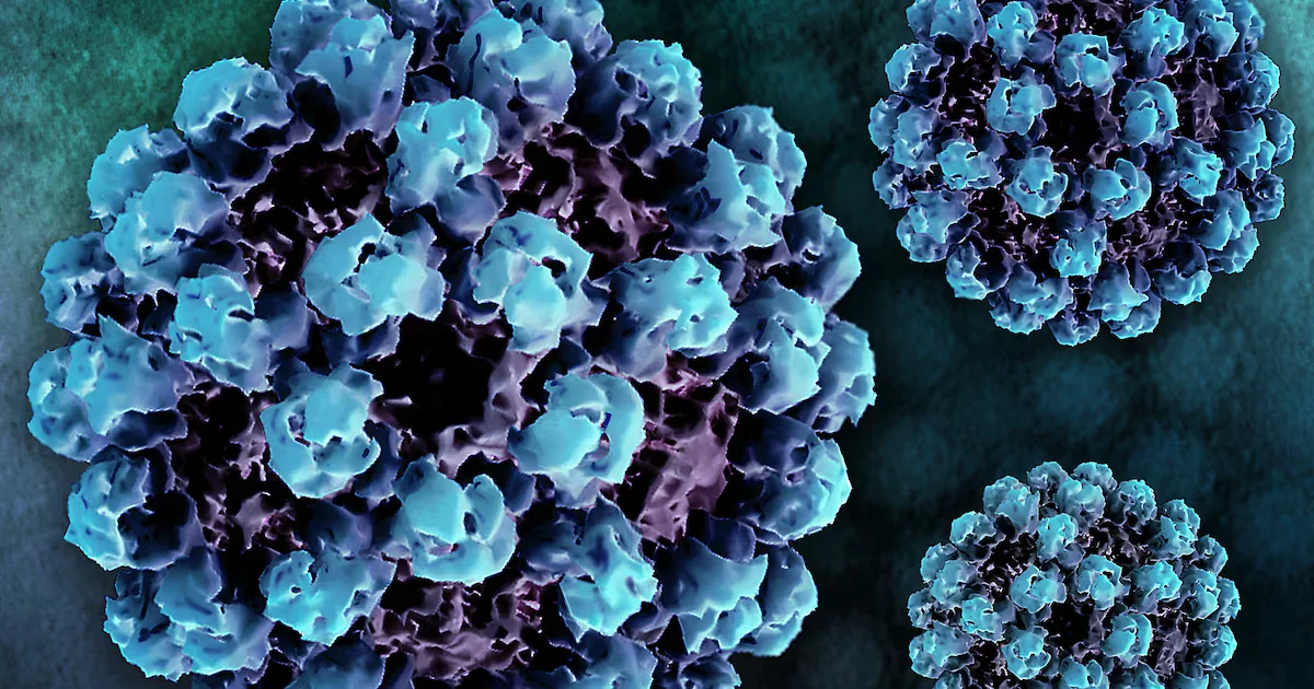 Featured image for Nationwide Surge in Norovirus Cases Raises Holiday Health Concerns