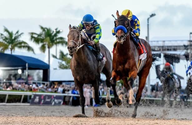 Featured image for "National Treasure Triumphs in 2024 Pegasus World Cup"