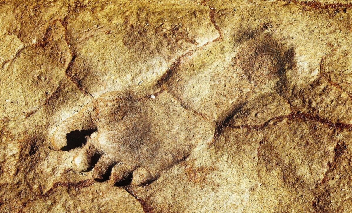 Featured image for Ancient 115,000-Year-Old Human Footprints Discovered in Unexpected Location