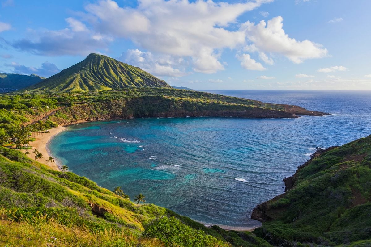 Featured image for Humans Vanish from Hawai‘i Bay in 2020, What Unfolded Next?