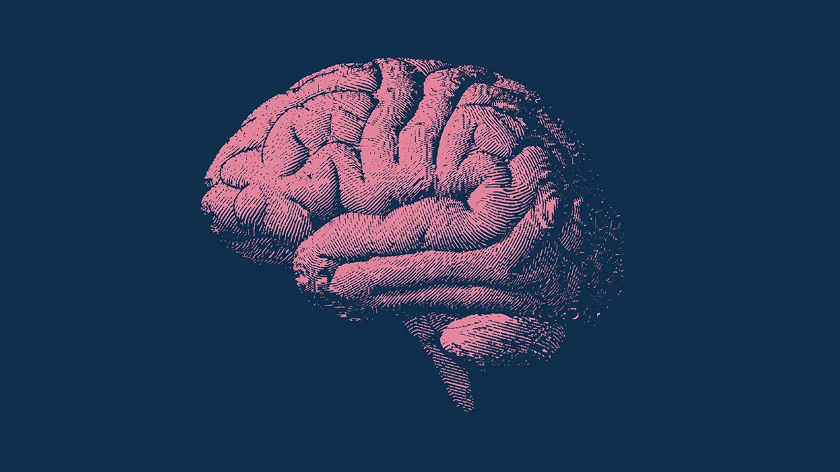 MIND Diet May Put Brakes on Brain Aging: Real-World Study Finds 2.5-Year Benefit