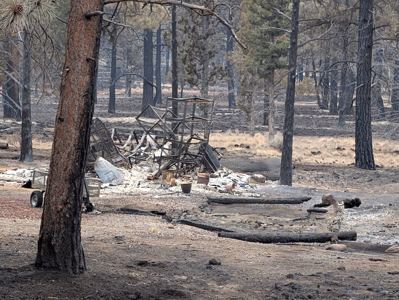 Featured image for Oregon Wildfires Threaten Thousands of Homes Amid Firefighting Efforts