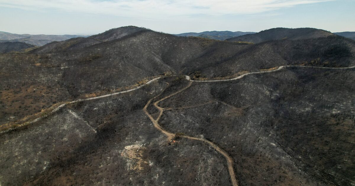 "Greece's Devastating Wildfire: Europe's Largest Ever Recorded"