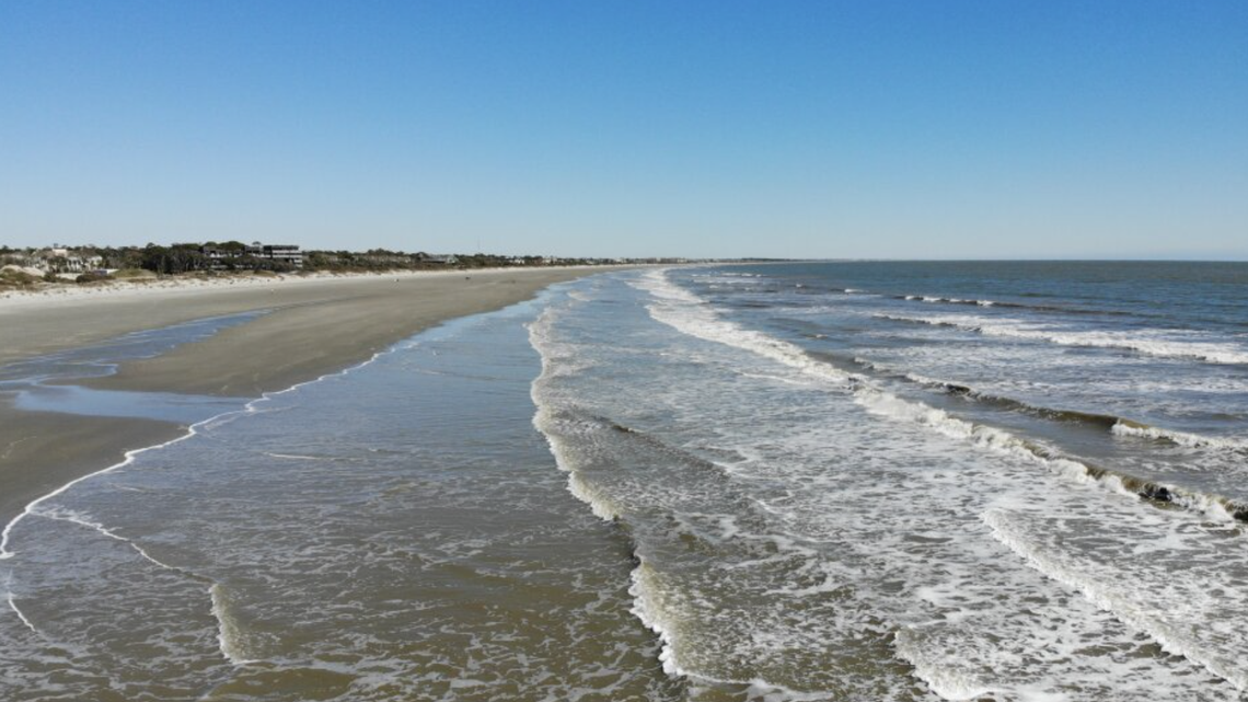 Featured image for How to Handle Stinging Sea Lice in SC Oceans This Summer
