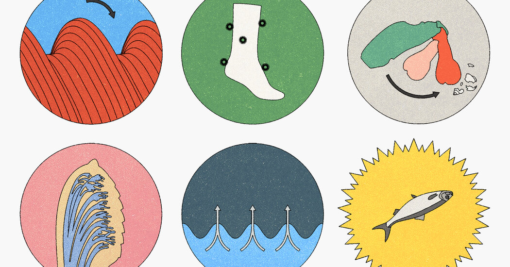 Featured image for Inventors Draw Inspiration from Evolution