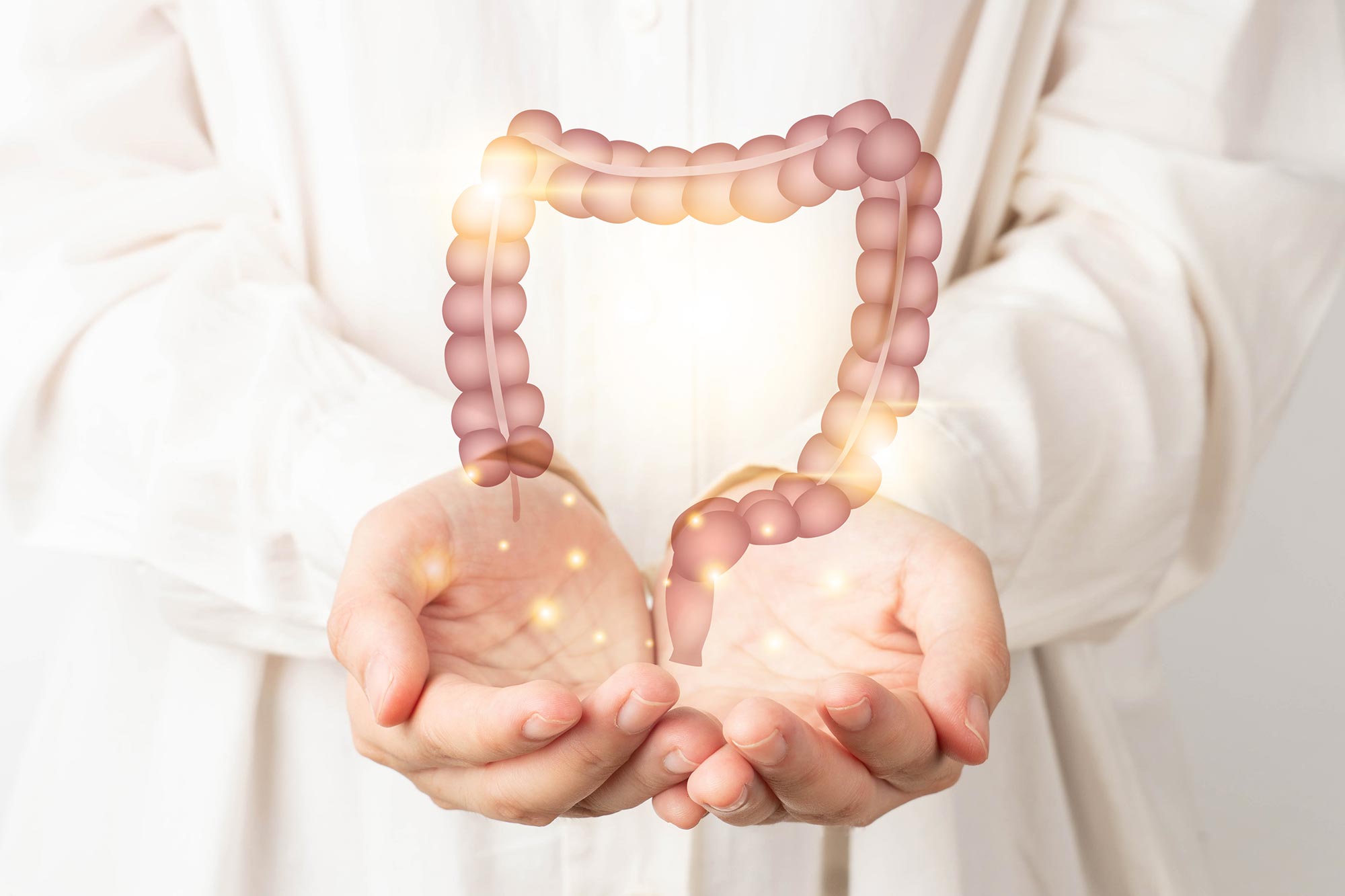 Featured image for MIT Scientists Find Rejuvenating Amino Acid for the Gut