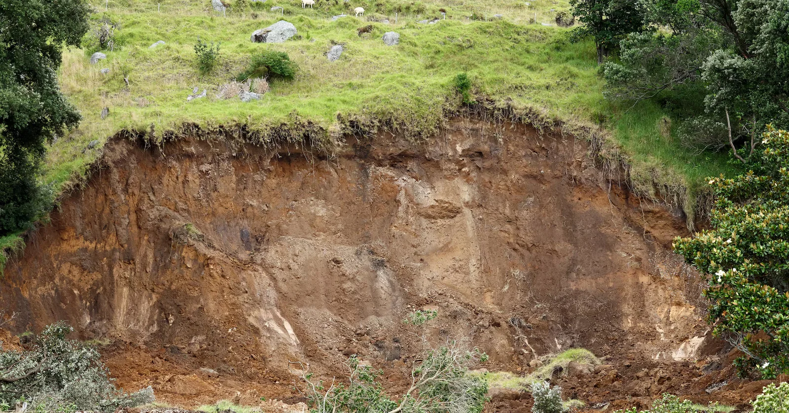 Six Dead After Mount Maunganui Landslide as NZ Begins Victim Identifications