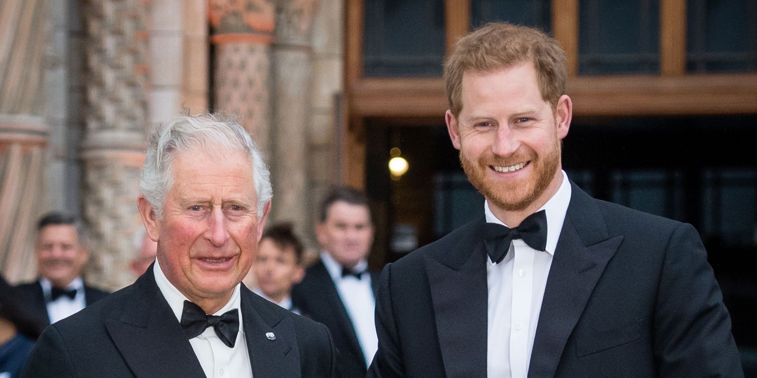 "Insights into Meghan Markle and Prince Harry's Surprising Relationship with King Charles"
