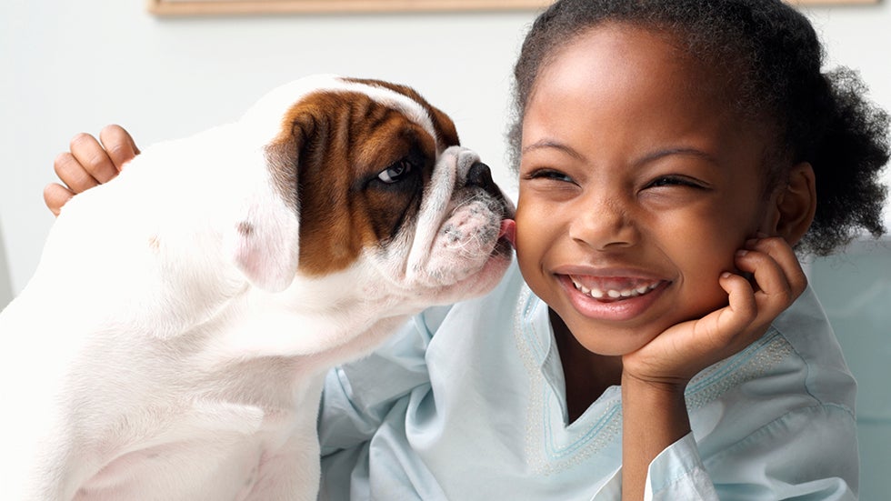 Pets may reduce children's risk of food allergies, study shows.