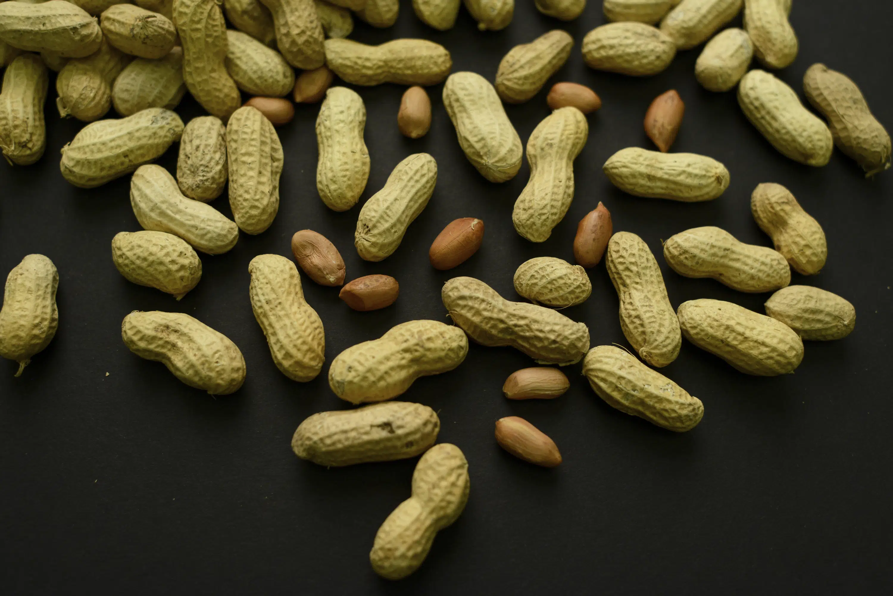 Promising Results for Peanut Allergy Skin Patch in Toddlers
