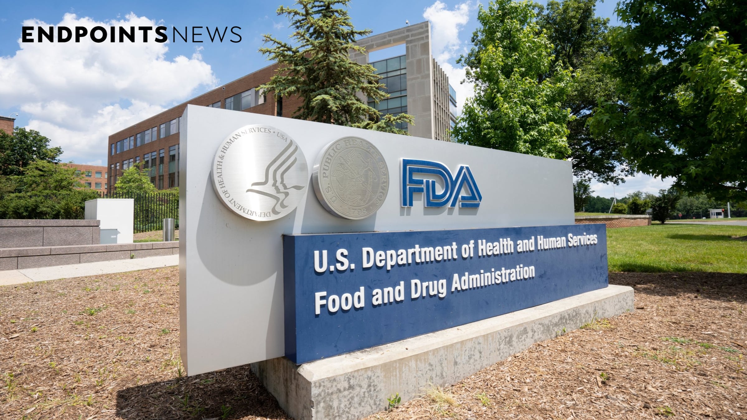 Featured image for FDA Halts Multiple Cell Therapy Trials Following Patient Deaths.
