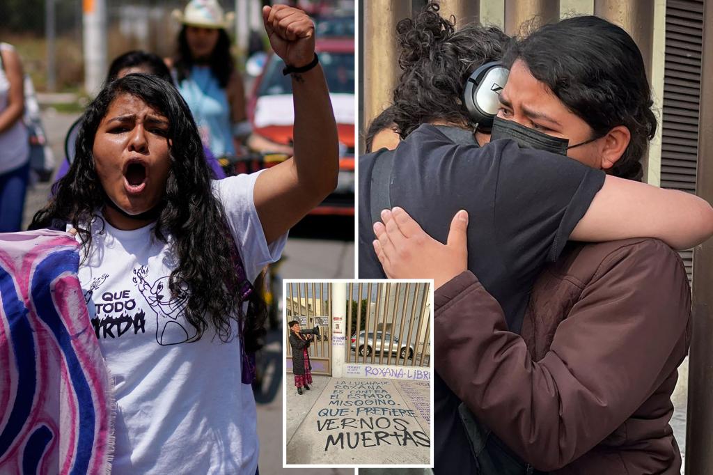 Activists criticize 6-year sentence for mom who strangled her rapist.