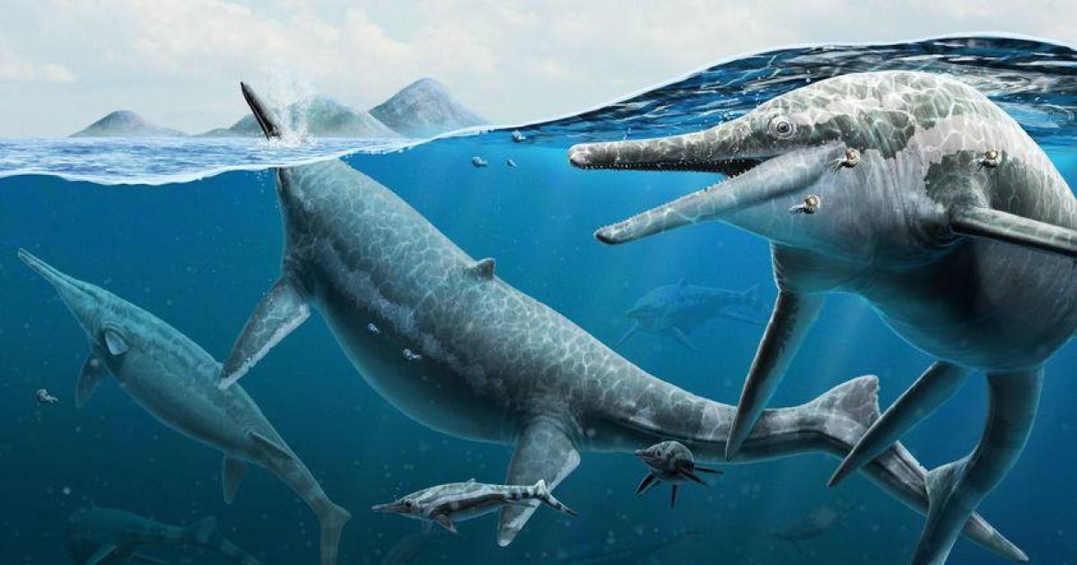 Ancient Sea Monster Fossils Discovered on Arctic Island