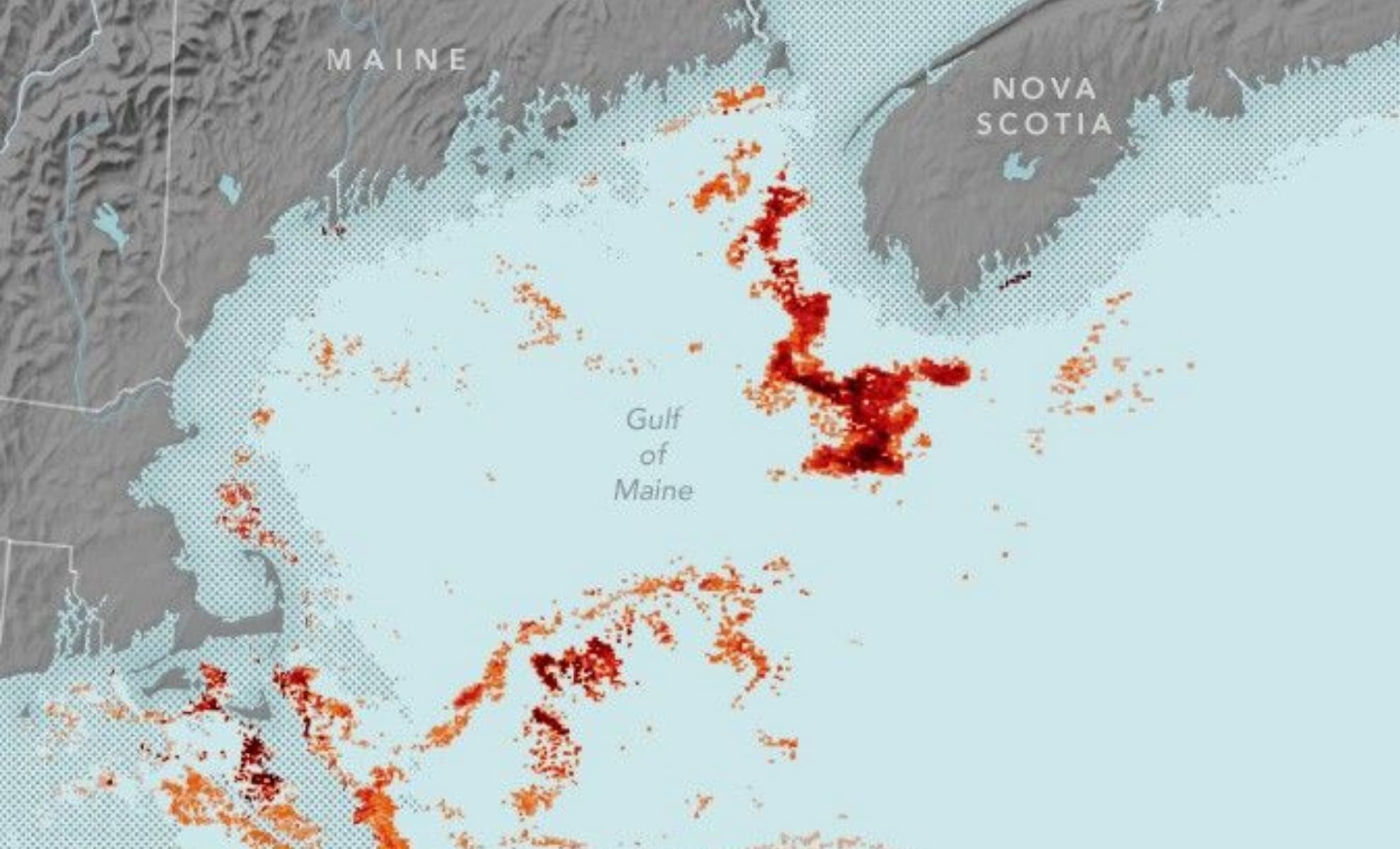 Featured image for NASA Scientists Discover Tiny Red Creature Vital for Whale Survival