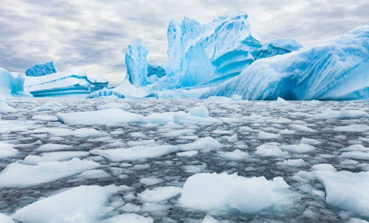 Antarctica’s Cold Vent Breaks Hydrothermal Norms