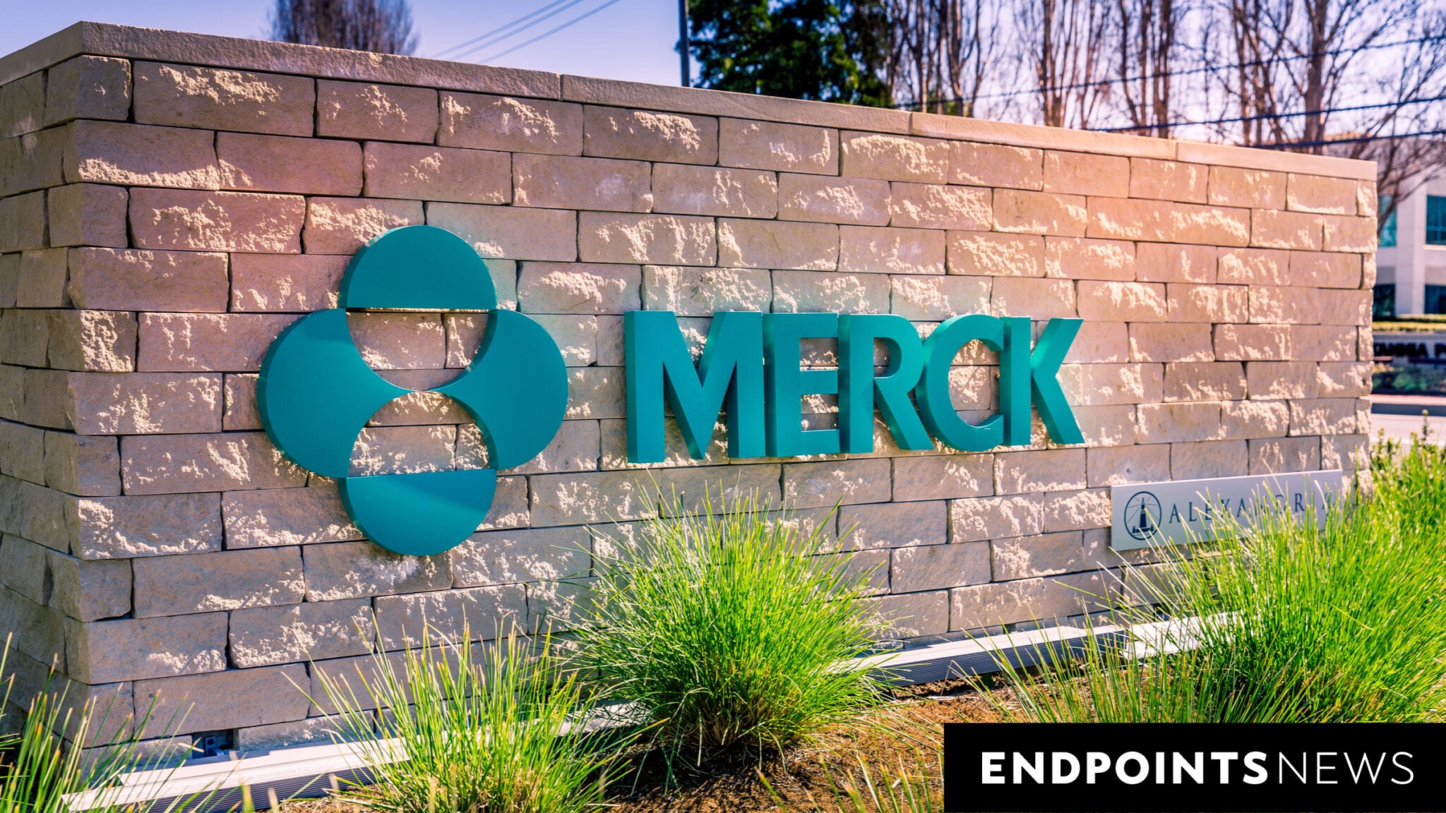 Merck's TIGIT/PD-1 combo disappoints in lung cancer trial
