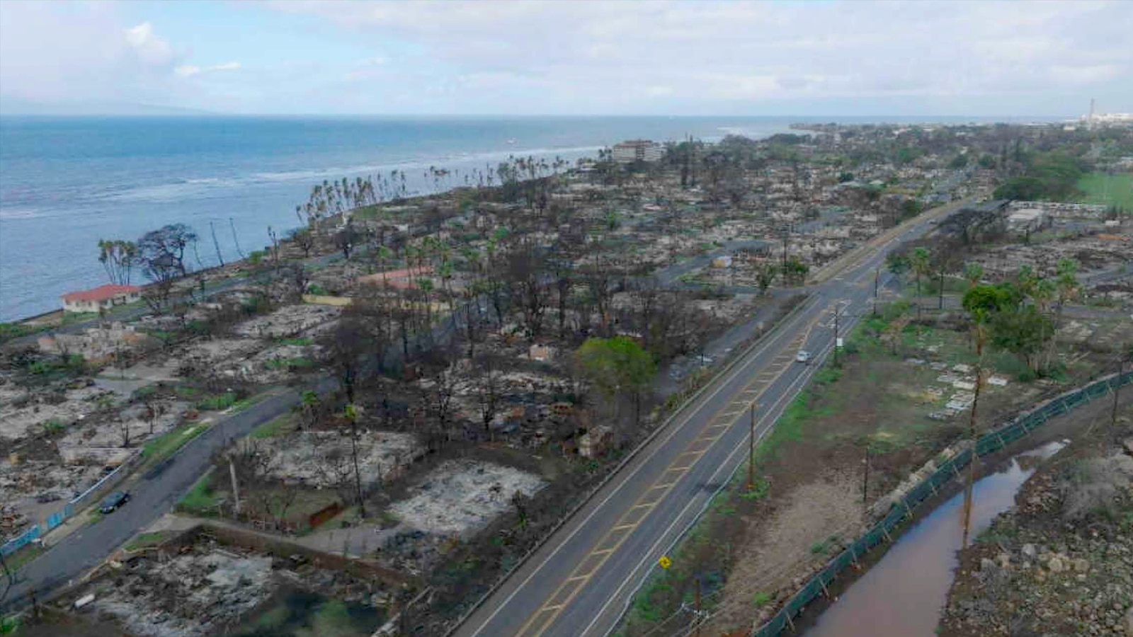 Featured image for "Maui Police Report on Response to Deadly Wildfires and Rebuilding Efforts"