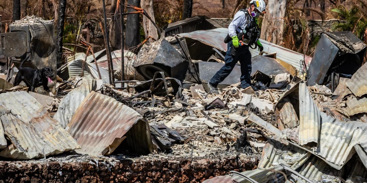 Featured image for Lahaina Fire Sparks Siren Reminder and Water Fights Shift