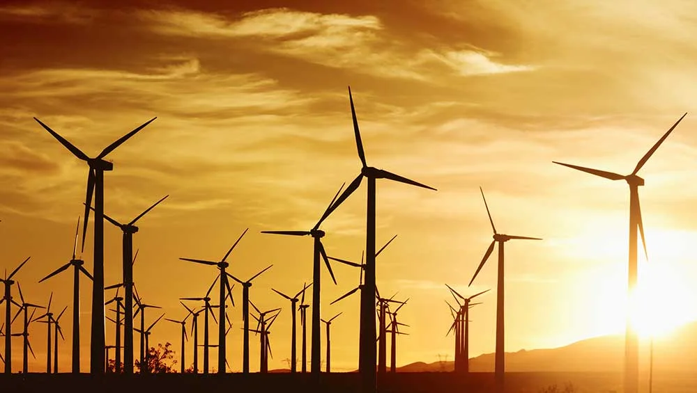 Senate Budget Bill Maintains Cuts to Solar and Wind Incentives