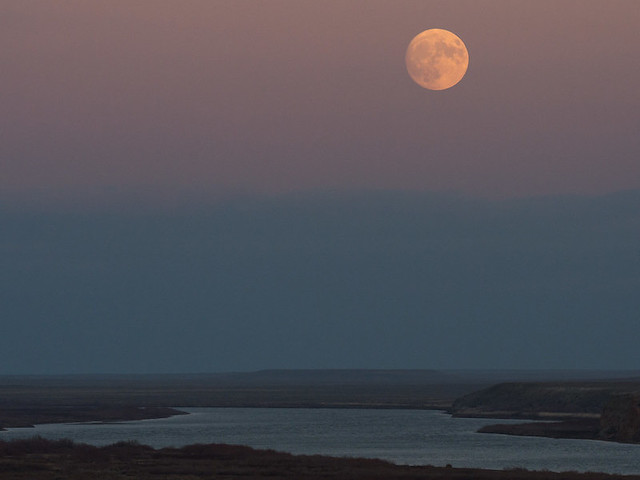 Featured image for "Unveiling the Spectacular Super Blue Moon Phenomenon"