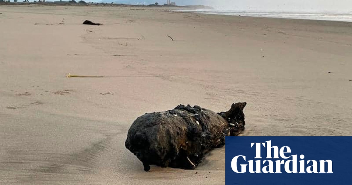 Featured image for "1960s Practice Bomb from WWII Era Discovered on Santa Cruz Beach"