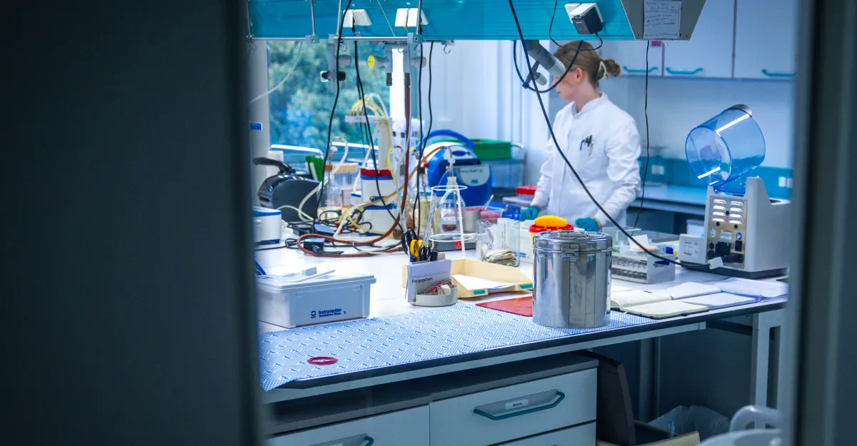 Featured image for The Mirror of Life: Exploring the Risks and Possibilities of Mirror Life