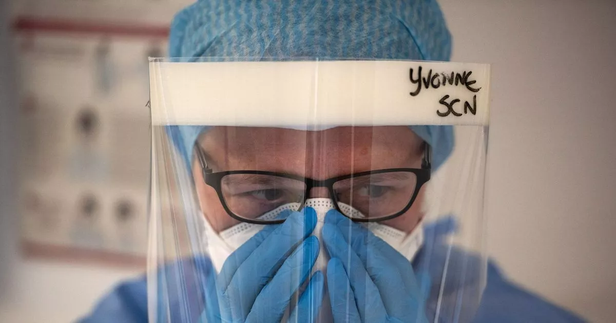 Bird flu-infected worker risks new pandemic by travelling to Scotland.