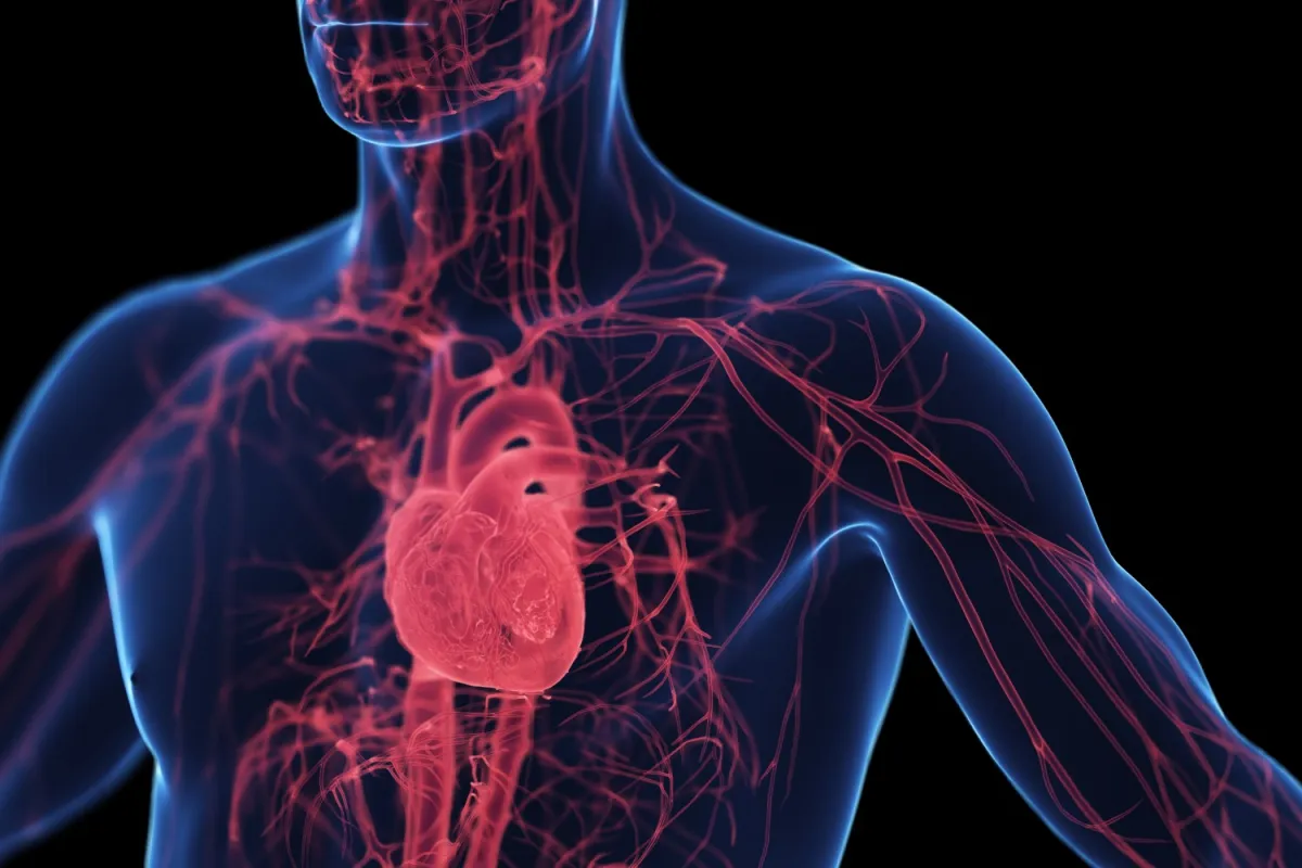 Featured image for Key Age 50: How Organ Proteins Signal Accelerated Aging and Health Risks