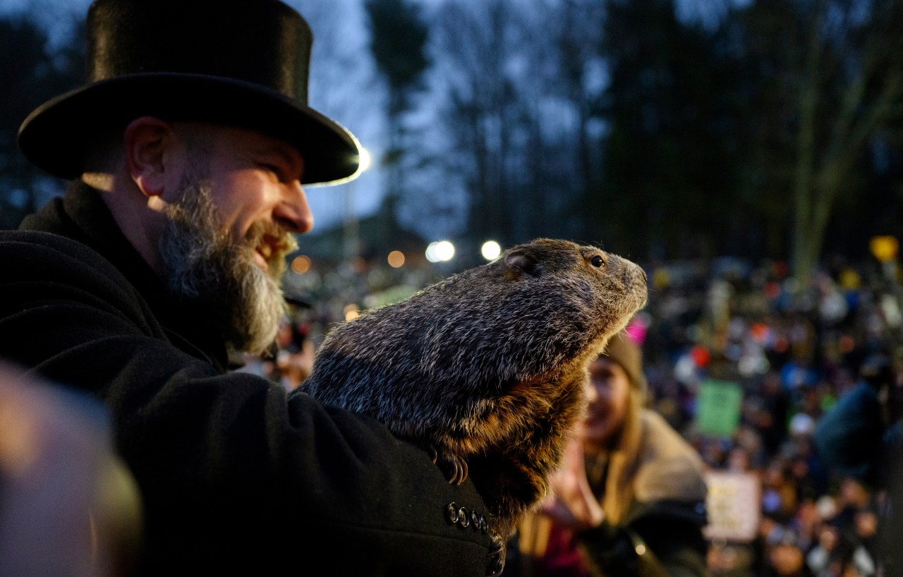 Featured image for "Punxsutawney Phil: Beyond Groundhog Day Predictions"