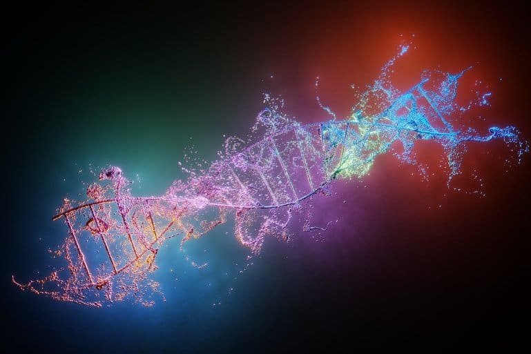 Featured image for Autism Gene Linked to Infertility.