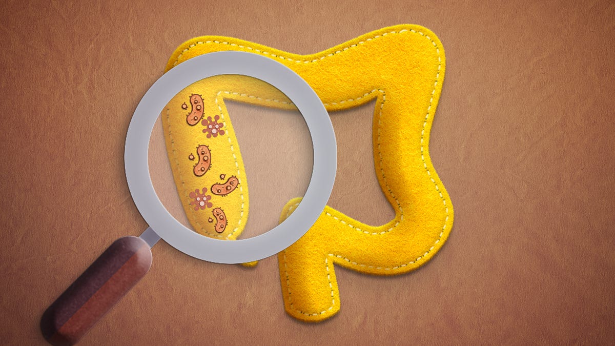 "Unlocking Optimal Wellness: Harnessing the Power of Your Gut Microbiota"