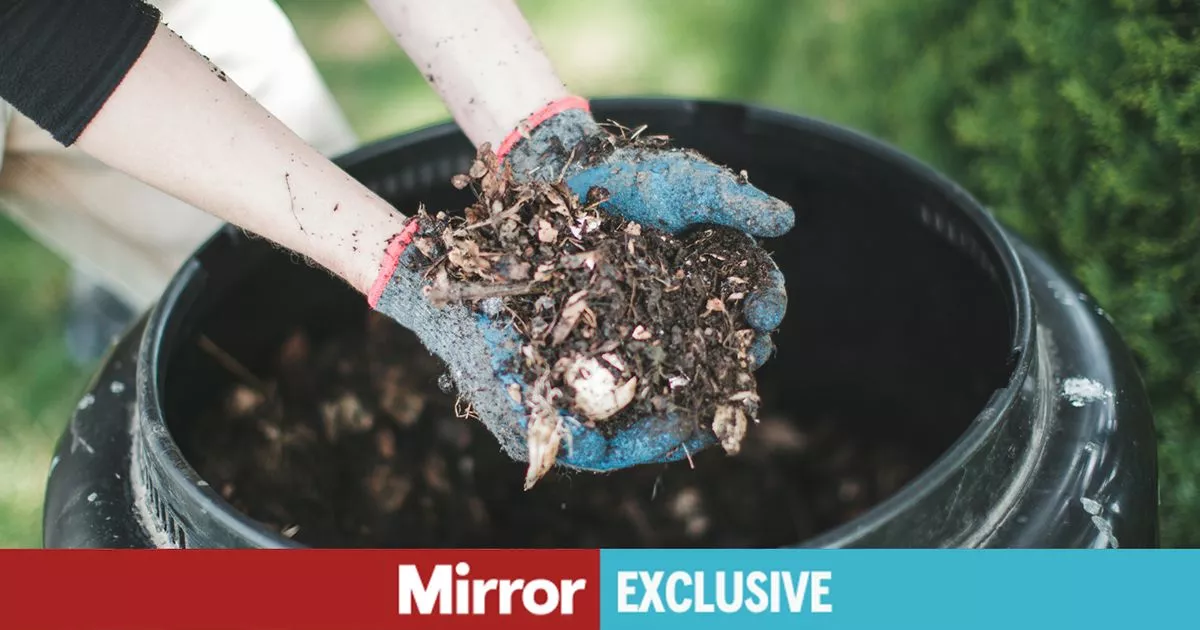 Featured image for Rising Threat: Deadly Fungi and Hidden Dangers in the Environment