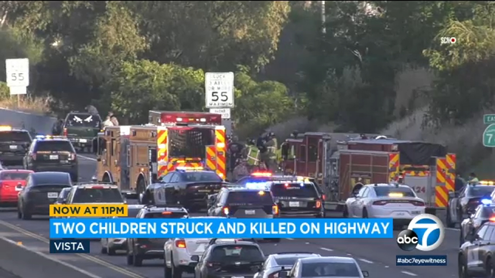 Tragic Accident on Vista Freeway Claims Lives of Two Children.