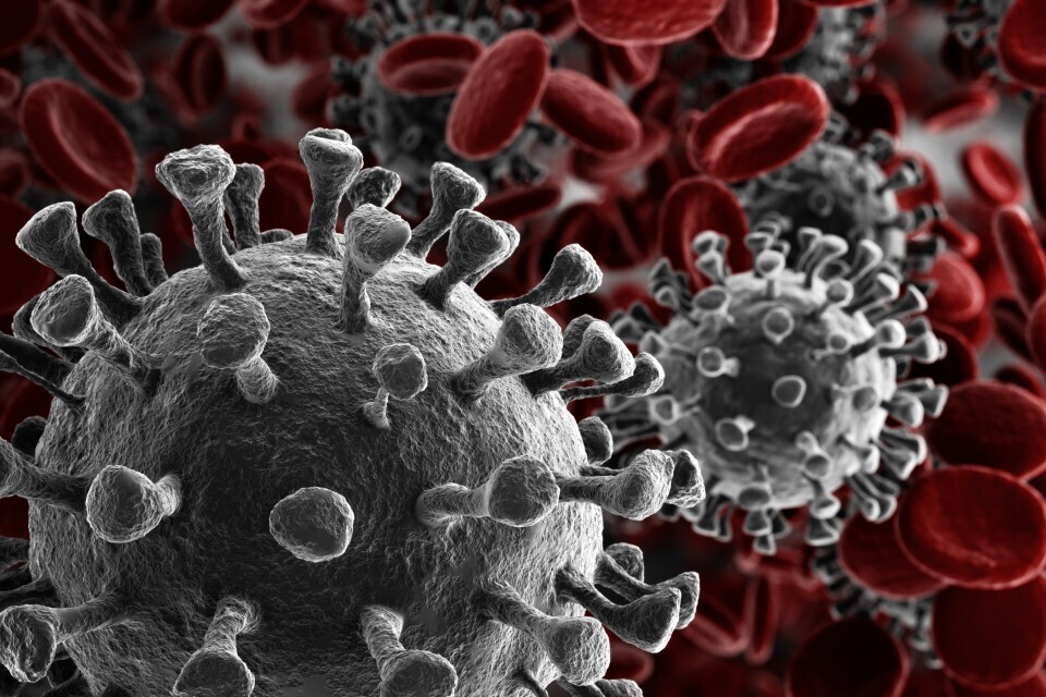 Two UK Poultry Workers Test Positive for Avian Flu