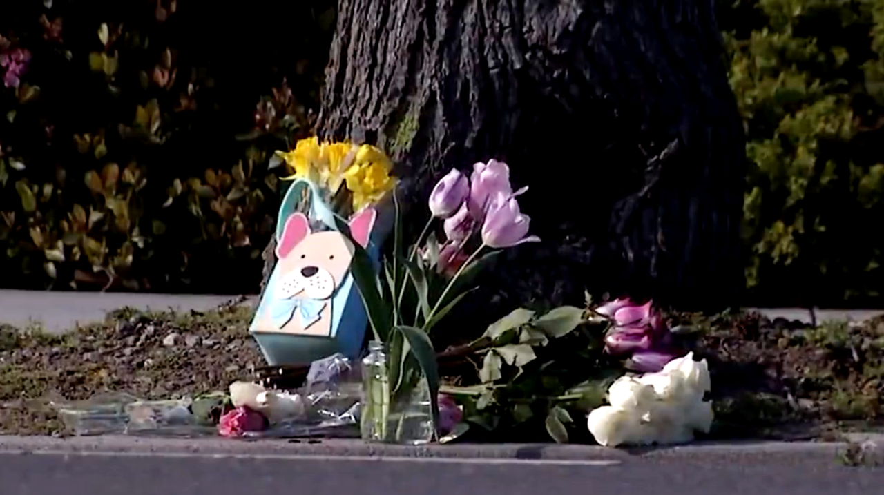 San Jose Hit-and-Run Suspect Identified and Arrested.