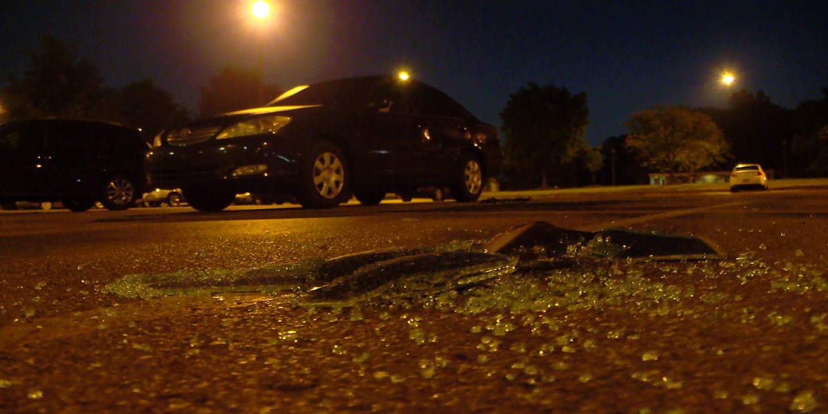 Over 80 Cars Burglarized in Southaven Overnight, Including Hospital and Hotel Parking Lots