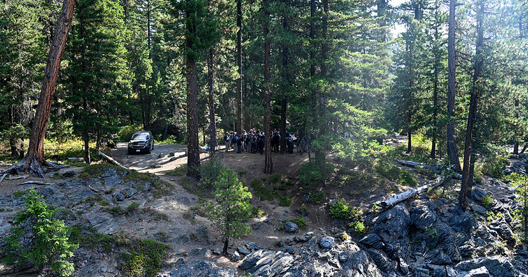 Featured image for Remains Believed to Be Travis Decker Found in Forest